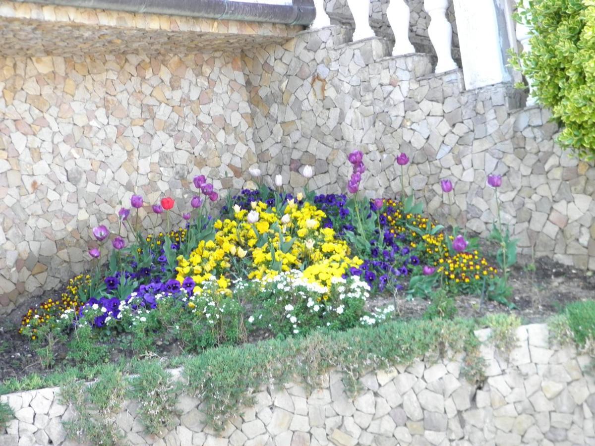 Heviz Kristaly Apartman Exterior foto